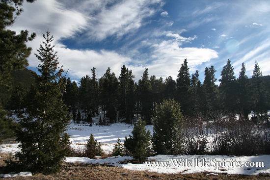 Click Picture to send as an  E-PostCard 57k 550x367